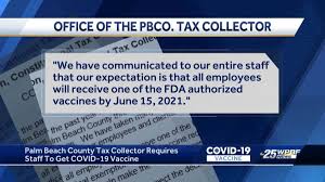 Gannon constitutional tax collector serving palm beach county p.o. Palm Beach County Tax Collector Get Vaccinated Or Get Fired