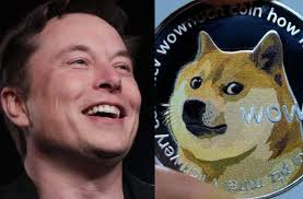 5 top elon musk dogecoin tweets elon musk is. Optify Festivaldieng Twitter