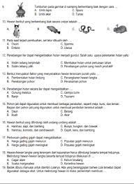 Pin Di Matematika Kelas 6
