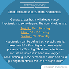 How to measure a dog's blood pressure at home using human blood pressure monitor.correction: Veterinary Anursethesia Blood Pressure Monitoring Every Patient Every Time This Vital Parameter Helps To Monitor Your Patients Depth Of Anaesthesia As Many Of The Anaesthesia Drugs Cause Dose Dependent Physiological Changes