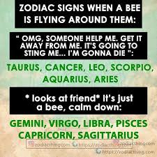 The cancer constellation is an ancient constellation do not be fooled by the sense of humor of your cancer boss. Pin Auf Astrology