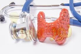 5 أشياء يمكنك القيام بها للمحافظه على صحة الغدة الدرقية وعدم اضرارها Pacifier Brushing Teeth Holder