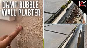 Whatever you do, do not try to wash these off, because all you are doing is redissolving the salt into liquid form to be absorbed back into the wall and if the company's offering is as good as they claim, you have to ask yourself why this developer is not funding the scheme itself. Damp Bubbling Plaster Walls Get Your Gutter Pipes Cleaned How Gutter Pipes Are Cleaned Youtube