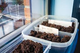 Allow the outside to dry. 10 Reasons Your Seeds Aren T Germinating How To Fix It