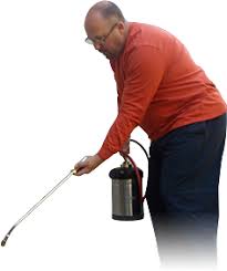 Are you looking for affordable, reliable pest control or termite control services in oregon? All About Pests Llc Salem Oregon Pest Rodent Control