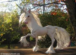 Check spelling or type a new query. Pictures Of Unicorns On Rainbows Novocom Top