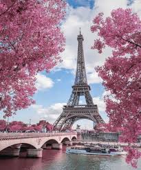 desejo de viajar on instagram ah primavera mais vida mais cor mais beleza mais amor paris pictures eiffel tower photography paris tour eiffel eiffel tower photography paris tour eiffel
