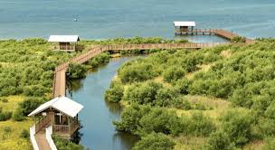 Condos for sale in the bridgepoint complex on south padre island texas (condominios en venta en isla del padre) call: South Padre Island Texas Usa Vacation Planning And Things To Do
