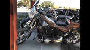 Image result for Vivid Black 1993 FXSTS