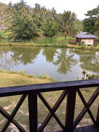 Chalet mama papa adalah antara lebih 40 chalet di janda baik, bentong pahang. Di Sini Inap Desa Chalet Janda Baik