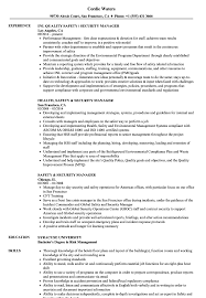 Jun 03, 2020 · sample it resume. Safety And Security Manager Cv August 2021