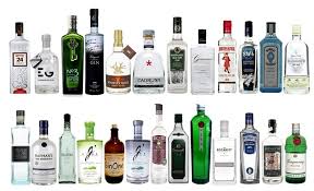 Best Gin In The World Ginone Mexican Gin Vodka Best Gin Vodka Drinks