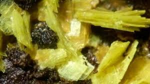 We track your behaviour so we can get an idea about your preferences. Tresors Caches 5 Mineraux Etroitement Associes A La France