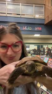 Twitch the library tortoise wanted to jump