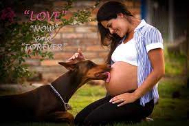 wedding holiday business greetings and more forever friends old bethpage ny doberman doberman pinscher doberman dogs