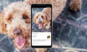 Use your phone's camera to search what you see in an entirely new look for the lens icon on your photos. Jak Pobrac I Zainstalowac Google Lens Na Dowolnym Telefonie Z Systemem Android 2021
