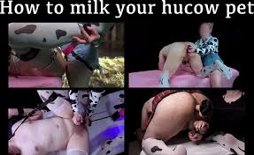 Would you join my femdom pet farm if these were your different daily  milking options?