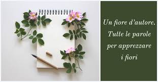 Maschile, femminile, indicativo, congiuntivo, imperativo, infinito, condizionale, participio, gerundio. Citazioni Fiori Frasi Celebri Frasi Fioriverdi E Contenti