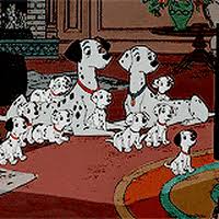 Gallery of free 101 dalmatians puppies animated gifs and dog puppies from 101 dalmatians movie. Best 101 Dalmatians Gifs Primo Gif Latest Animated Gifs