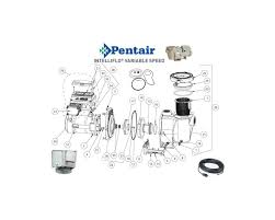 The intellicomm provides four pairs of input terminal connections. Pool Parts Supplies Pool Pumps Filters Heaters Cleaners Pentair Intelliflo Pump Parts Pool Plaza