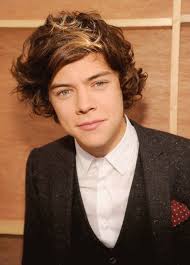 Harry Styles Harry Styles Hair Harry Styles Haircut Harry Styles