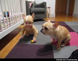 Littlefun Baby In A Dog Costume