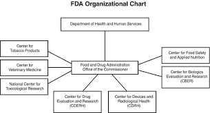 Regulatory Issues Springerlink