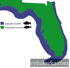 الحصول على رخصة صيد فلوريدا: كل ما تحتاج إلى معرفته