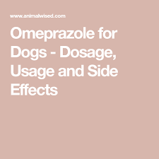 Omeprazole For Dogs Dosage Usage And Side Effects Omeprazole Inflammation Of The Stomach Side Effects