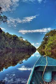 Brasil, colombia y ecuador proponen a la comisión ballenera internacional la creación de un plan de manejo y conservación. Pin De Just A Girl Em Brazil Amazonas Brasil Rio Amazonas Brasil Meu Brasil Brasileiro
