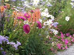 So Legen Sie Einen Bauerngarten An Blumengarten Design Sommerblumen Und Schoner Blumengarten