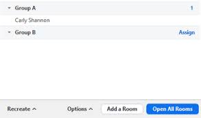 Breakout room participantswill have the same audio, video, and screen share capabilities as allowed in the main session. Pre Assigning Participants To Zoom Breakout Rooms
