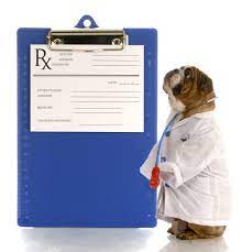 365 vet is the dedicated online veterinary dispensary for all of your pet prescriptions, pet medications and much more. Frequently Asked Questions About Pet Medications Oakland Veterinary Referral Services