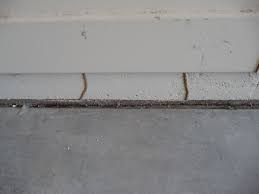 Who do you call when you've discovered that termites have gnawed their way through your attic and you need a new roof? Is A Termite Infestation Covered By Your Home S Insurance Policy