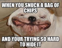 Explore and share the latest fat dog pictures, gifs, memes, images, and photos on imgur. Meme Creator Funny When You Snuck A Bag Of Chips And Your Trying So Hard To Hide It Meme Generator At Memecreator Org