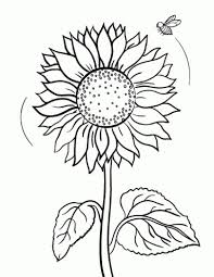 Pin By Theresa Rice On Sunflower Sunflower Coloring Pages Bee Coloring Pages Fall Coloring Pages