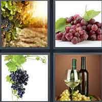 3 letter words 4 letter words 5 letter words 6 letter words 7 letter words 8 letter words. 4 Pics 1 Word Answers 5 Letters Pt 55 4 Pics 1 Word Answers