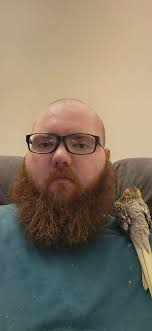 Safety eyes with these backs stay