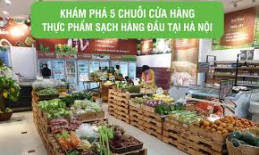Khám phá 5 chuỗi cửa hàng Thực Phẩm Sạch hàng đầu tại Hà Nội - Thực phẩm  sạch và thuận tự nhiên