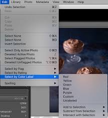 Using lightroom to edit and store your photos might seem tricky at first, but you can remedy it with these simple and effective lightroom tips & tricks. How To Use Lightroom The Ultimate Guide To Lightroom Tips