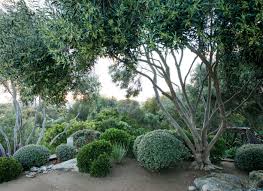 13 Irresistible Coastal Bedroom Boys Ideas Coastal Gardens Garden Design Coastal Landscaping