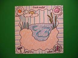 684,000+ vectors, stock photos & psd files. Let S Draw An Animal Habitat Freshwater Animal Habitats Habitats Brain Drawing