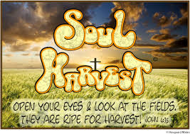 Don T You Have A Saying It S Still Four Months Until Harvest I Tell You Open Your Eyes And Look At The Christian Shirts Bible Encouragement Christian Life