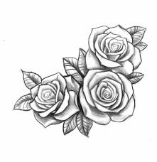 Disegno A Matita Con Tre Rose Aperte Una Accanto All Altra In Bianco E Nero Significato Rosa Tattoo Idee Per Tatuaggi Tatuaggi Rosa Tatuaggi Unici