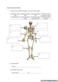 Link soalan uji minda : Kedudukan Dan Fungsi Sendi Interactive Worksheet