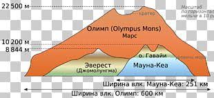 In this animation, a transparent olympus mons is juxtaposed over mauna loa, allowing the viewer to better see the size differences between these. Kea Png Images Kea Clipart Free Download