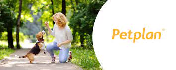 Petplan pet insurance covers up to 90% of vet bills for dogs & cats. Petplan Insurance For Pet Parent Peace Of Mind