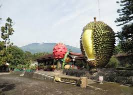 Lokasinya berada di jalan puncak dua, wargajaya, sukamakmur, bogor, jawa barat. 33 Tempat Wisata Di Bogor Puncak Yang Paling Memikat