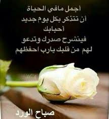 صباح الخير Morning Greeting Wisdom Quotes Wisdom