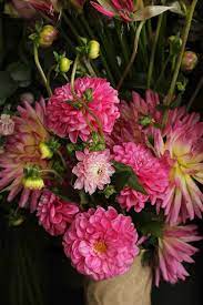 Inside Achillea Flower Shop Quirky Flower Adventure The Smell Of Roses The Smell Of Roses